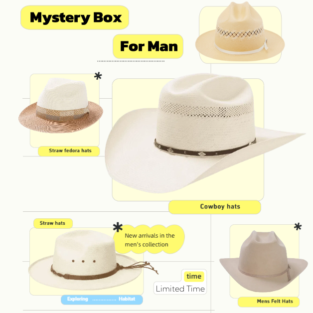 Men's 5-Hat Mystery Box | LuxeBrims Surprise Hat Pack
