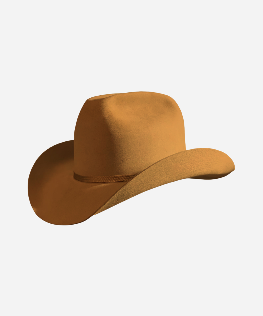 Dwight Yoakam Hat