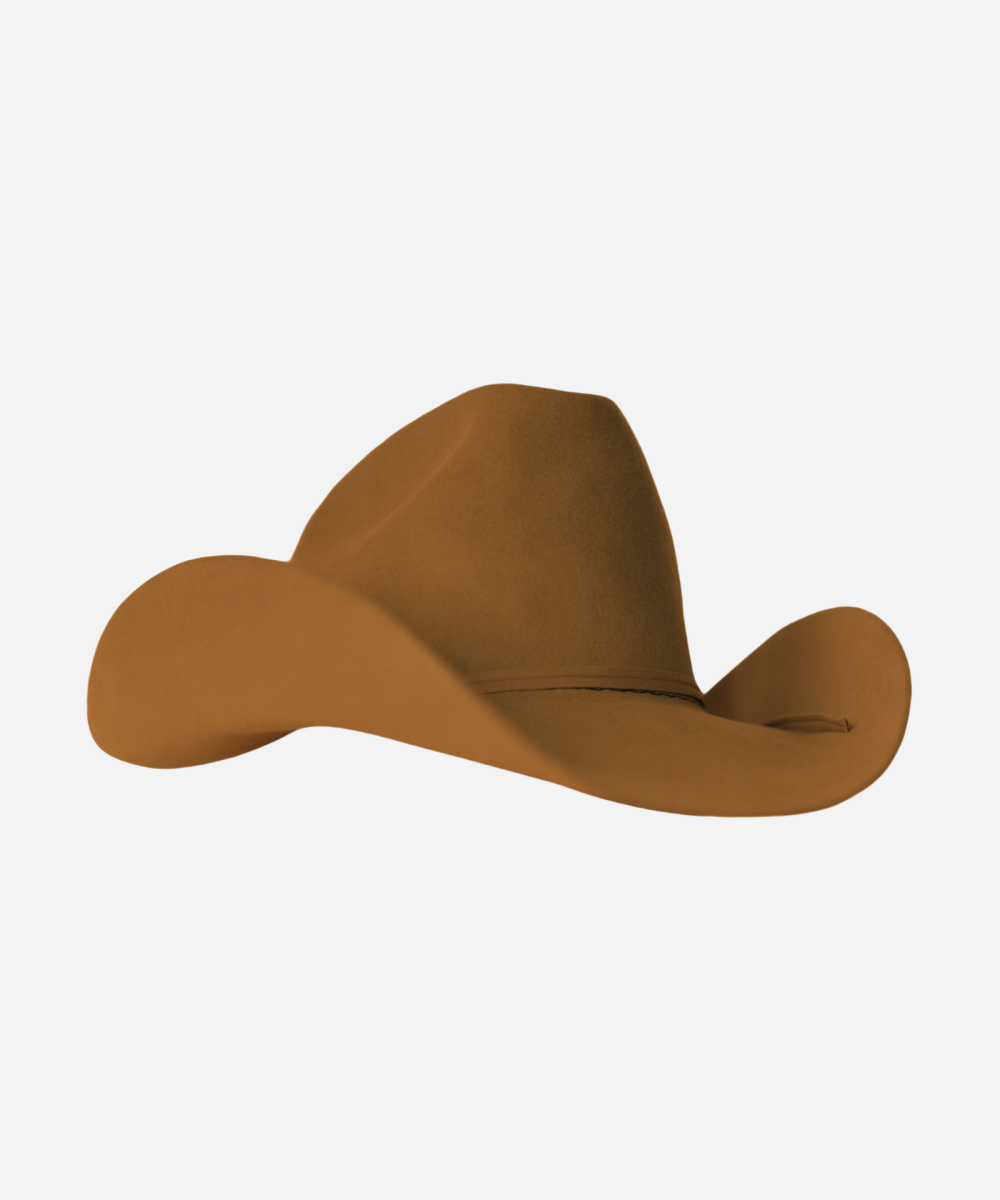 Dwight Yoakam Hat
