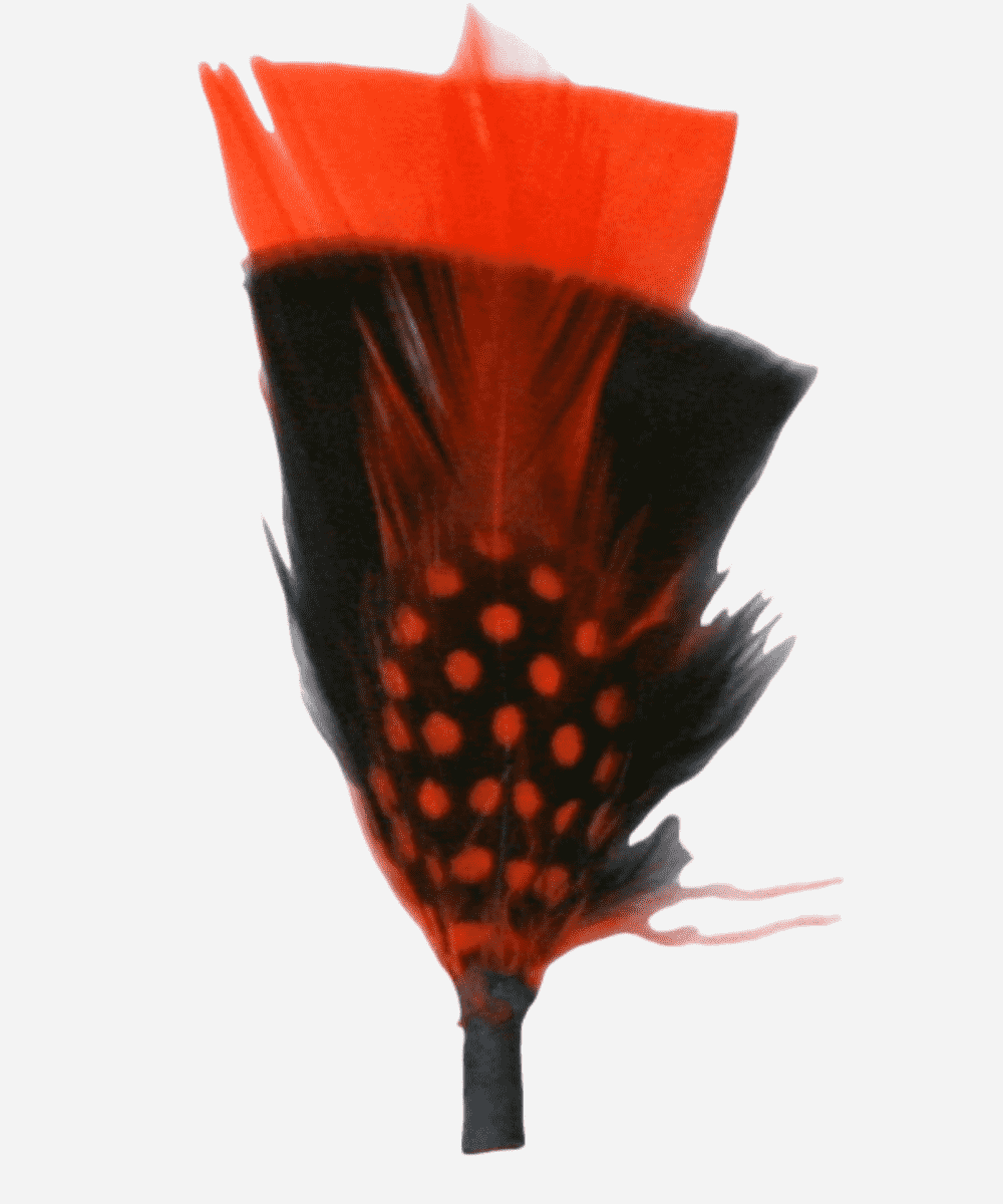 Single Hat Feather Accessory