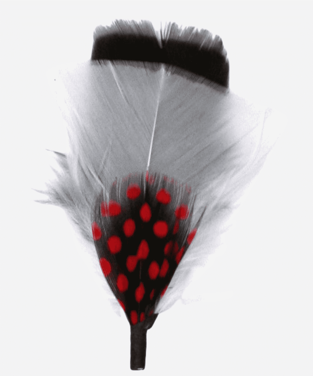 Single Hat Feather Accessory