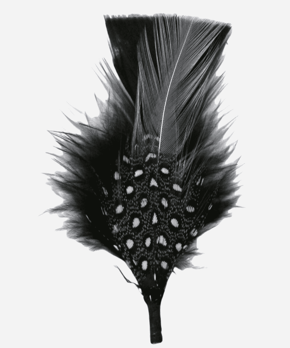 Single Hat Feather Accessory