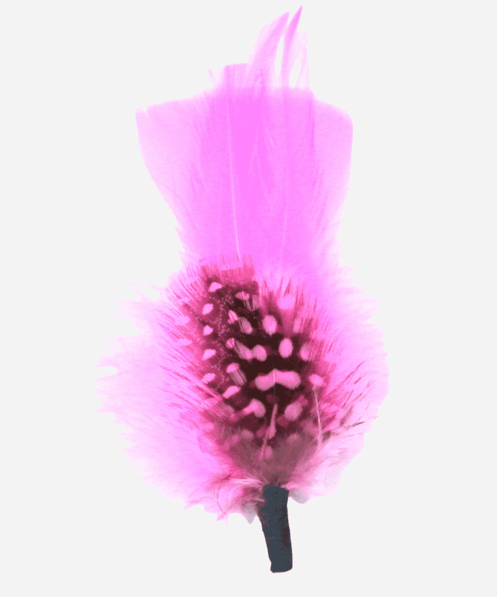 Single Hat Feather Accessory