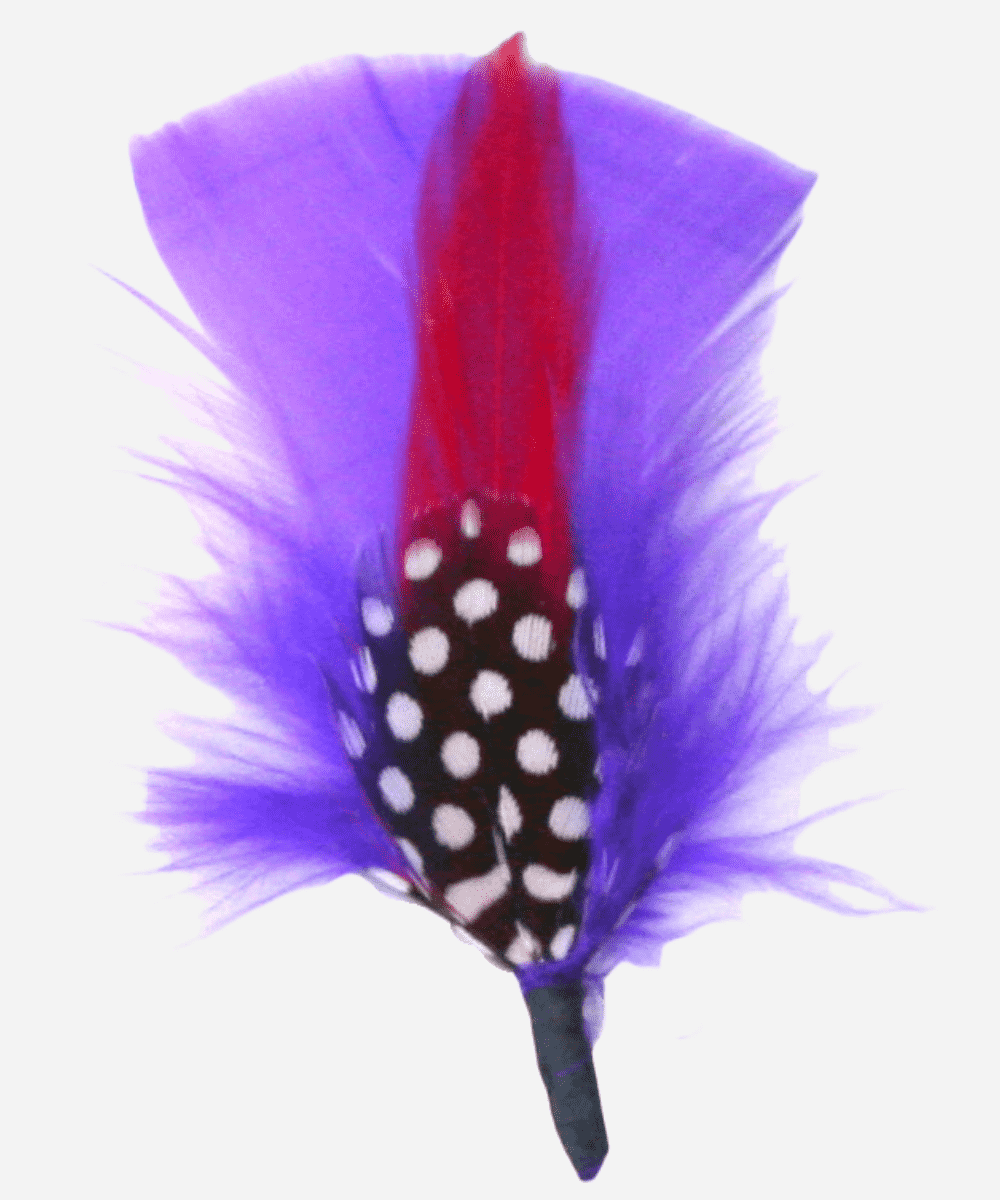 Single Hat Feather Accessory