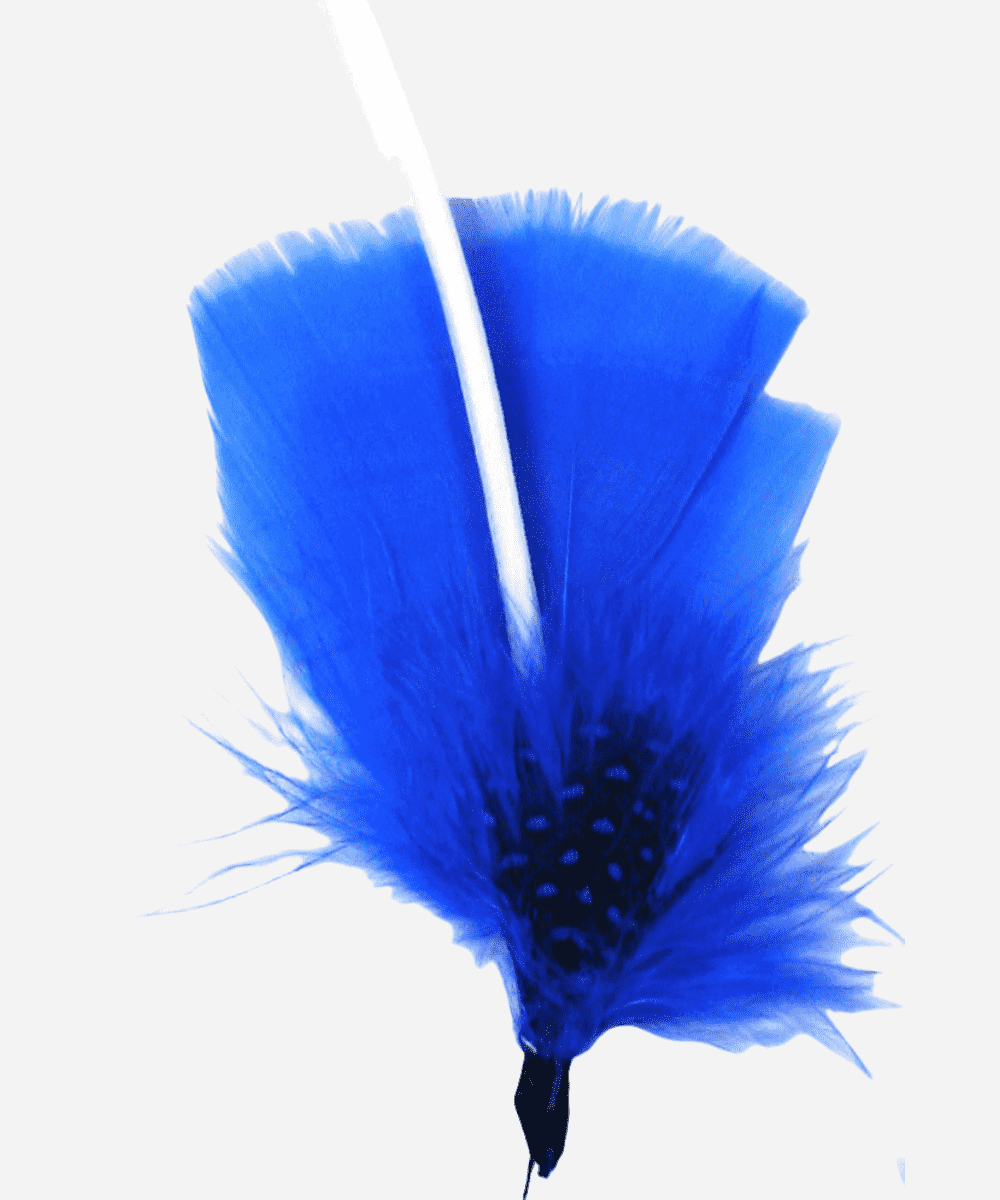 Single Hat Feather Accessory
