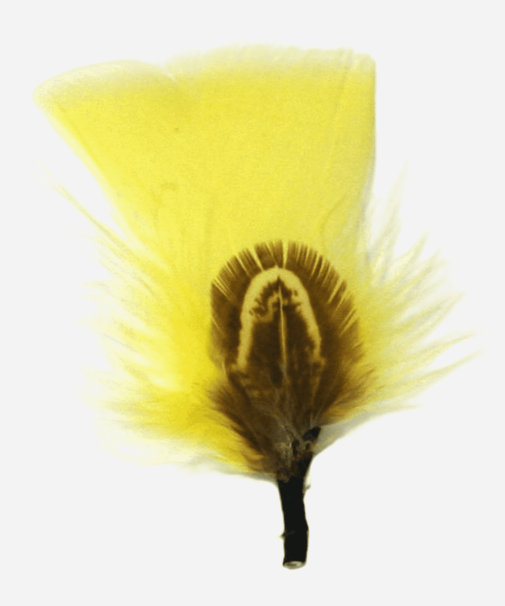 Single Hat Feather Accessory